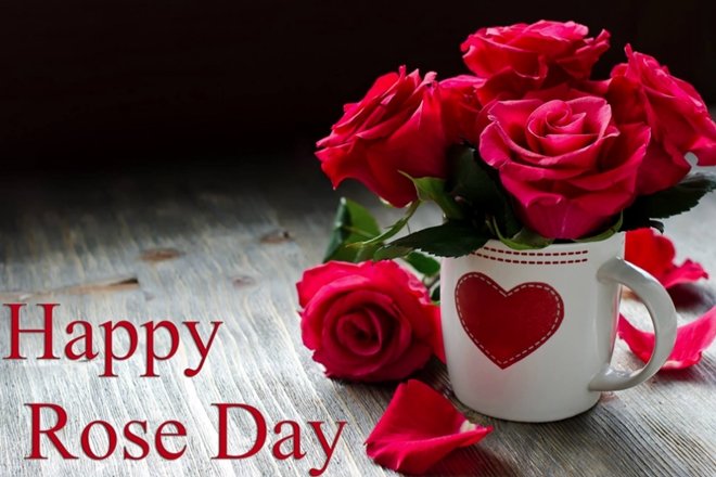 Rose Day Quotes